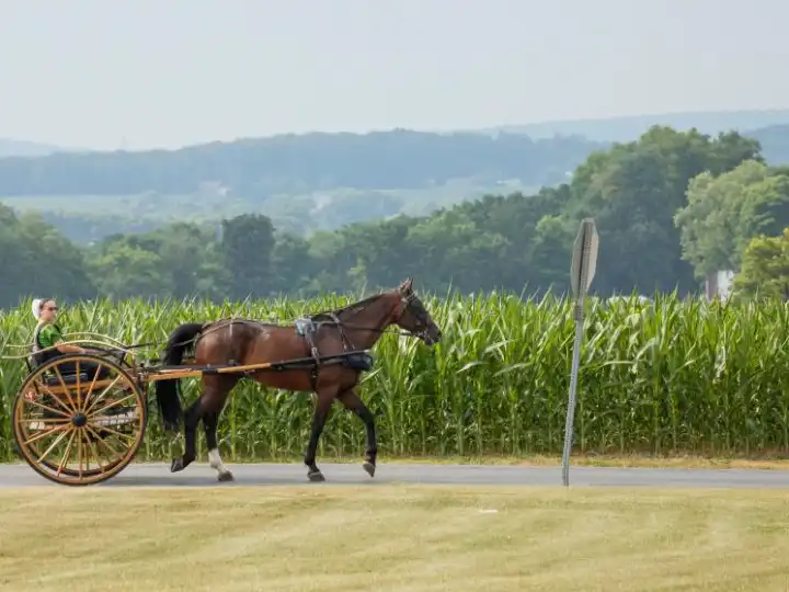 The US design studios turning to Amish and Mennonite artisans for traditional furniture production